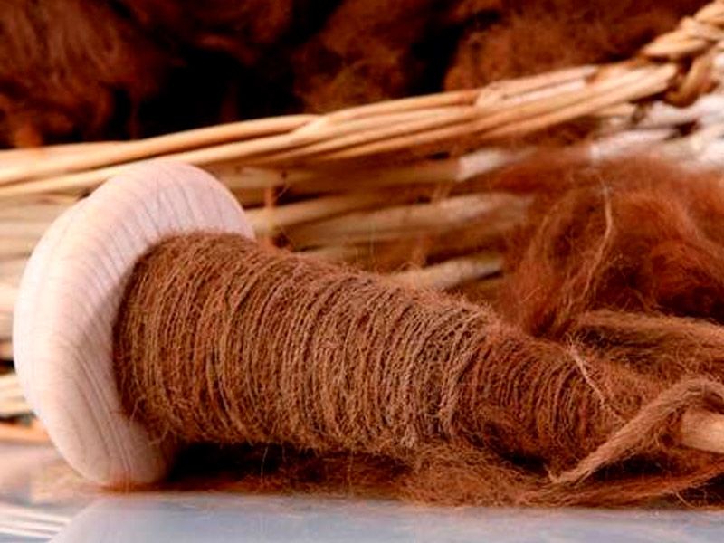 Apartamento en Buitrago del Lozoya El Esquileo 6. Vicuña